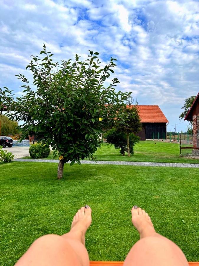 Villa Agroturystyka "Zielone Zacisze" Łagów Exterior foto